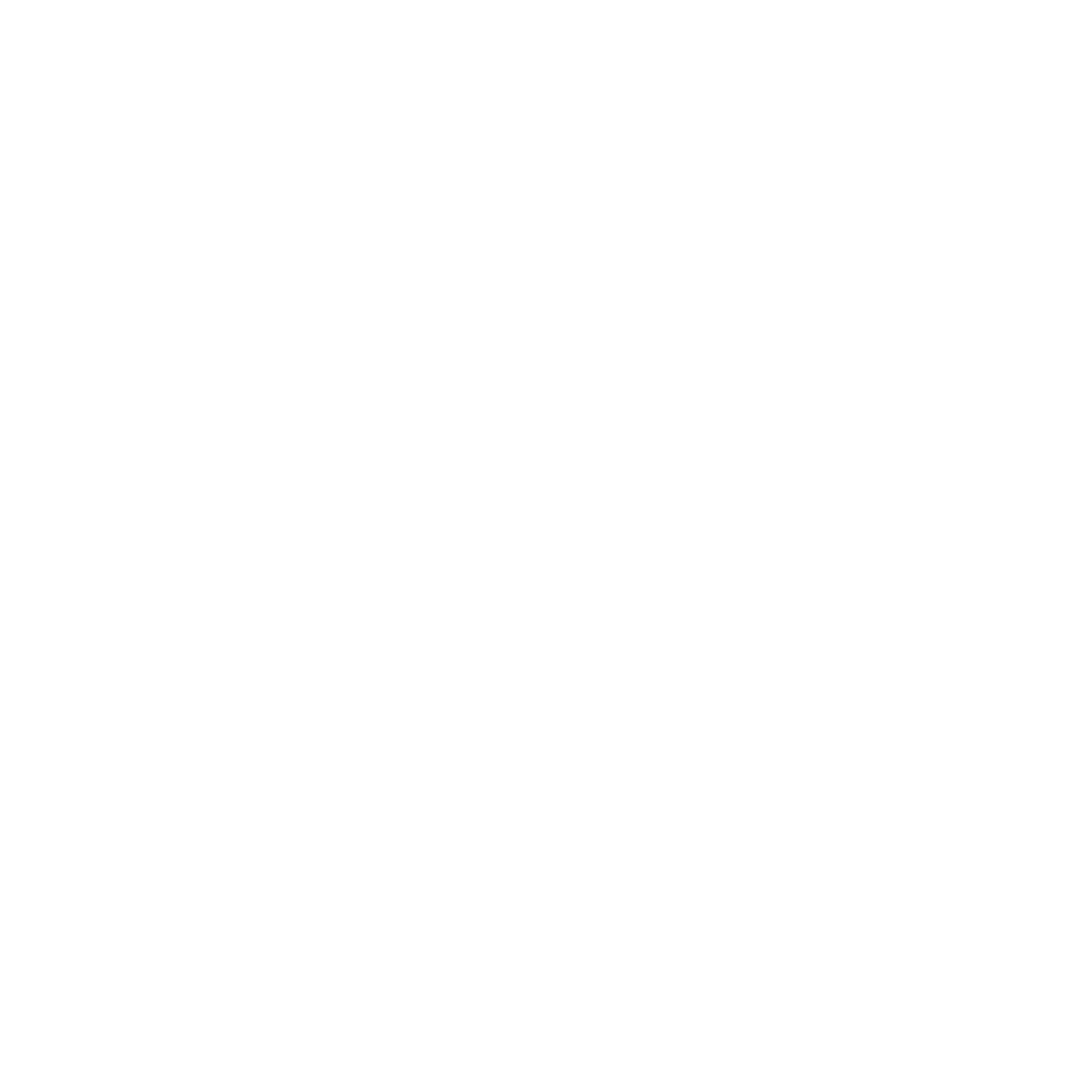 Custom Software & Platforms